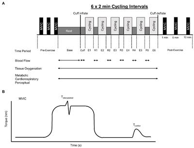 Physiological Responses to Acute Cycling With Blood Flow Restriction